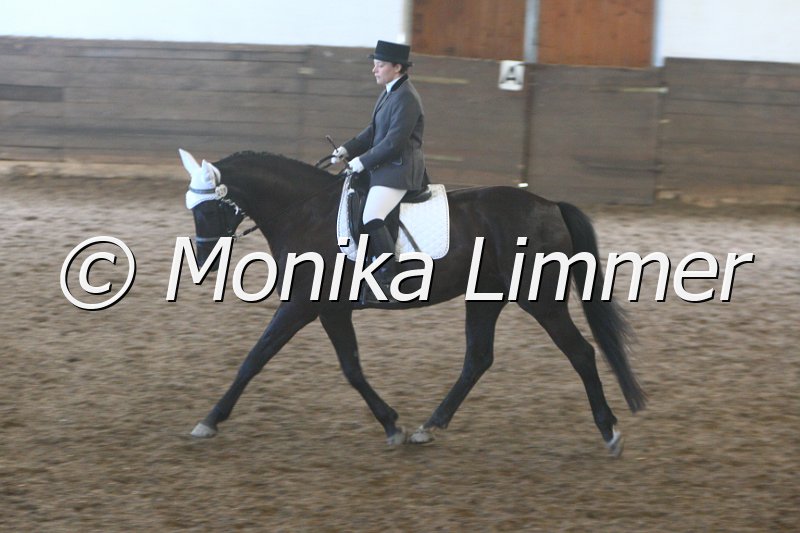 009M4701_Dark Shadow_Dressurpf_A.JPG